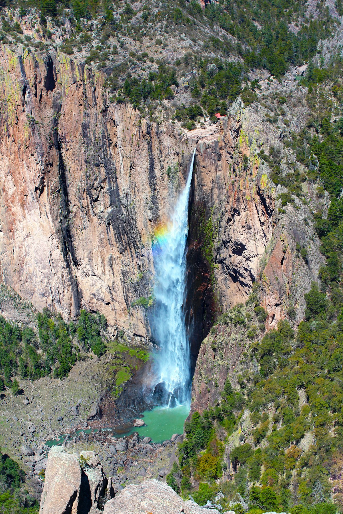 Cascada de Basaseachi entre las paredes del cañón