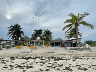 Playa con palmeras en Costa Mujeres