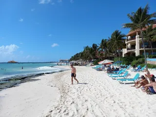Arena blanca y palmeras en Playa del Carmen