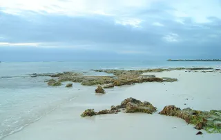 Playa de Akumal en la Riviera Maya